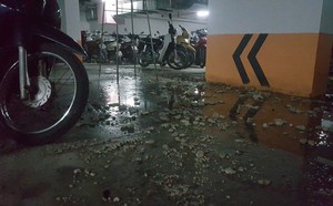 f8349829b5794ef47ade.jpg
