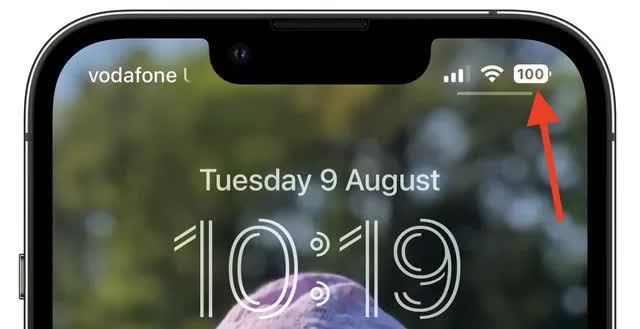 f83ad9968fde258e9808.jpg