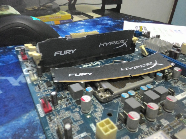 f873c6cb8e514ba00906.jpg