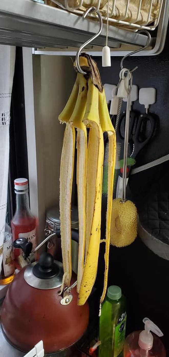 f87951b6800b661385f3.jpg