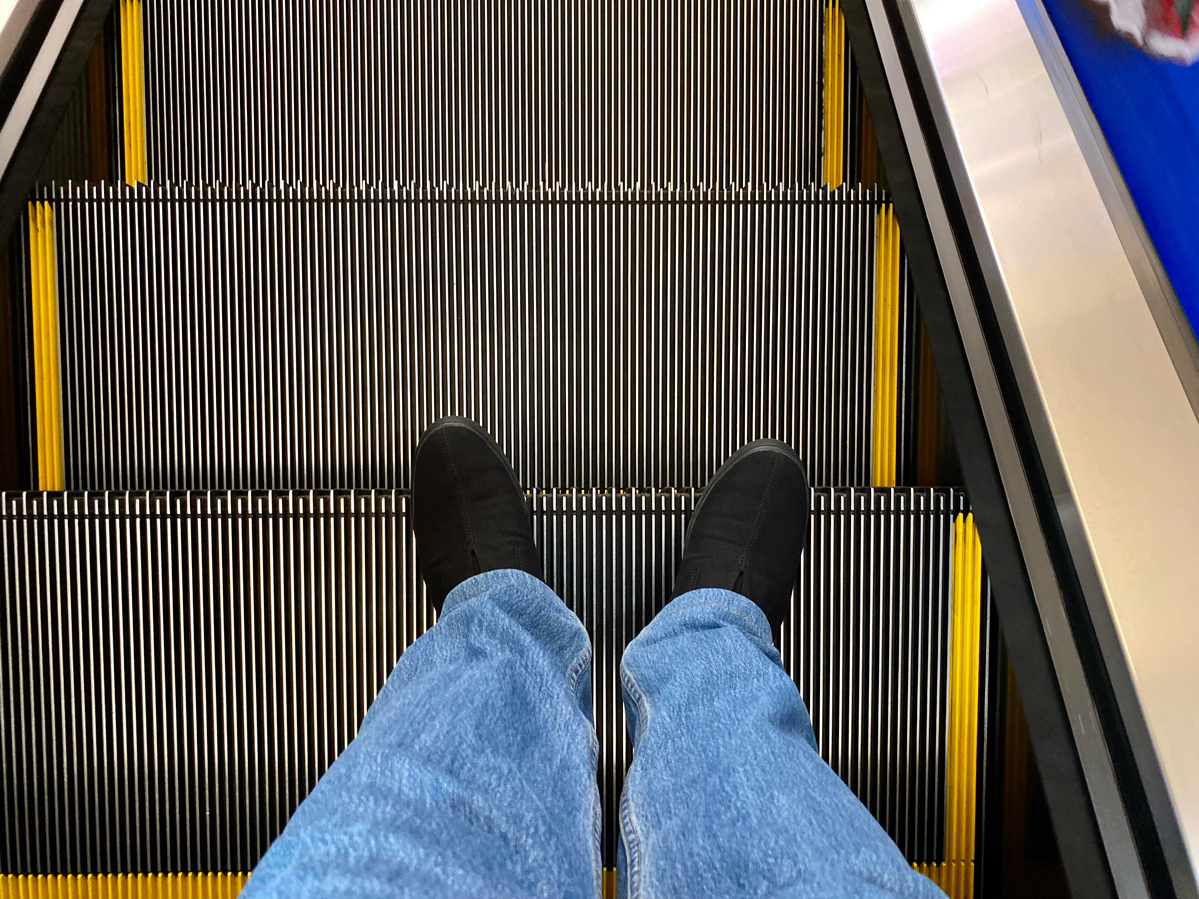 f88326279478622835be.jpg