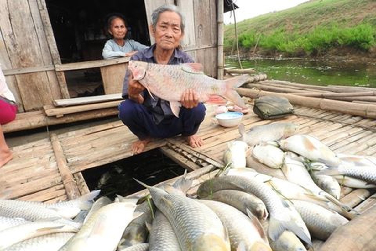 f89052dec153bb38c1ea.jpg