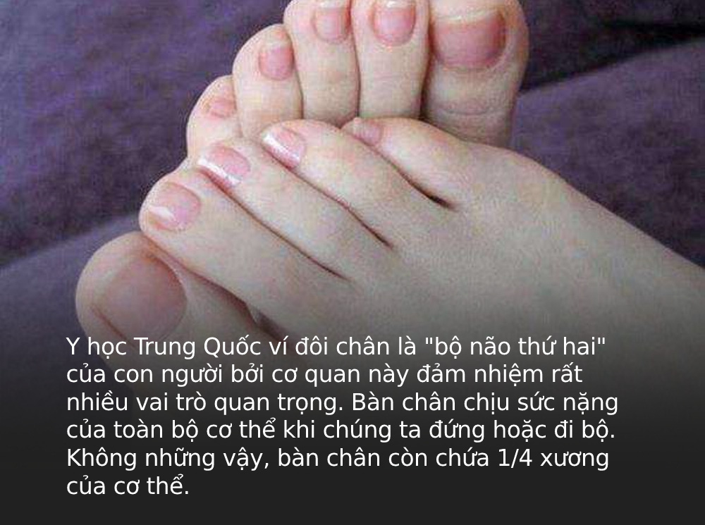 f8c4e55f61020cf2173b.jpg