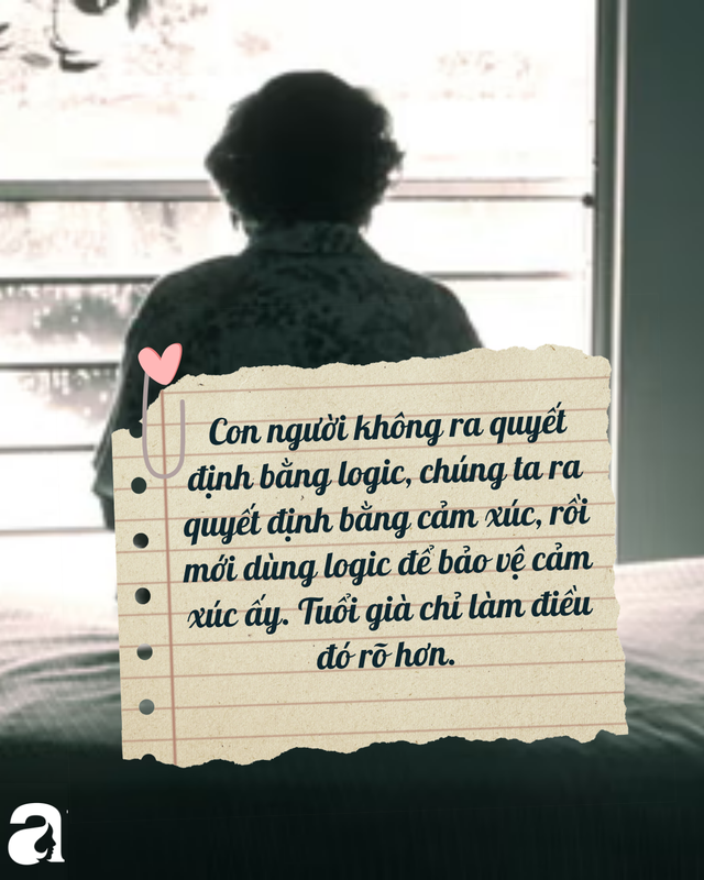 f8fbd6c51391cdc7ee61.png