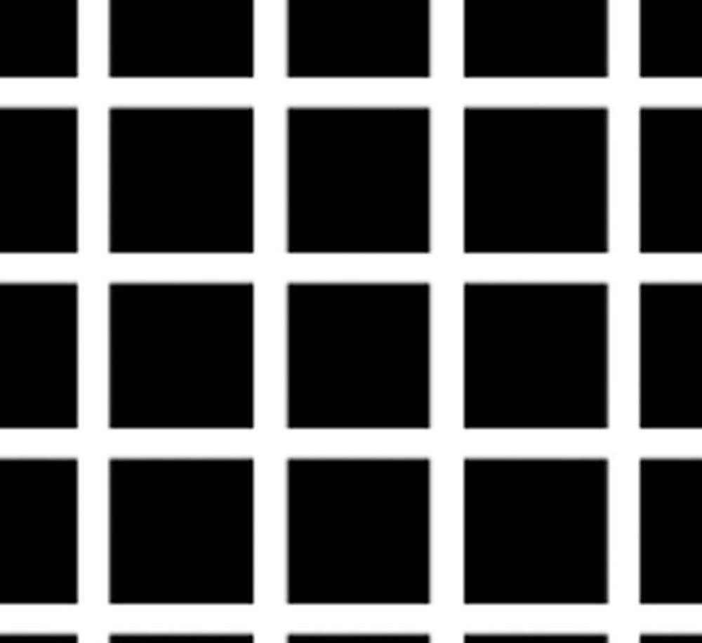 f90b1c991287d0f5c1bc.jpg