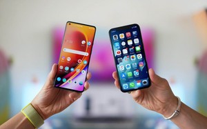 f9217869db5c91928f97.jpg