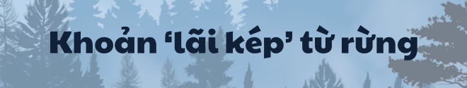 f9319de33b713641cecc.png