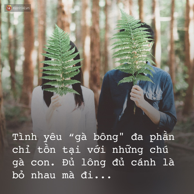 f93bc842b106c5e3751c.jpg