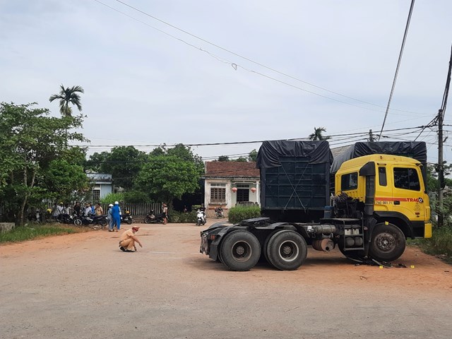 f950e1fc831af1c02782.jpg
