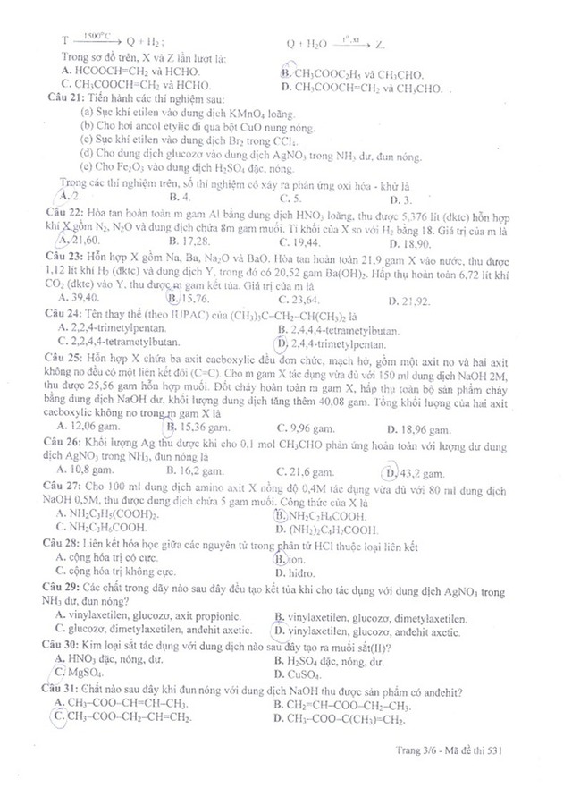f955cf1453b6a739f752.jpg