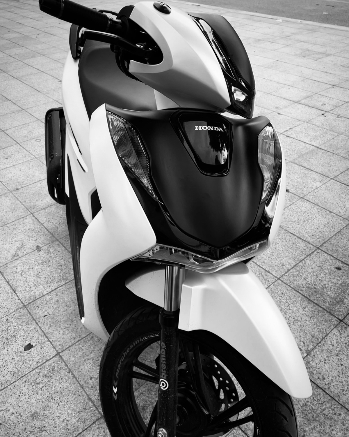 Black and White – Game chiến thuật thần thoại huyền thoại một thời ✨