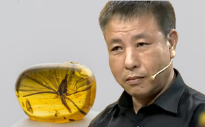f99e8fb40d1400433ab6.png