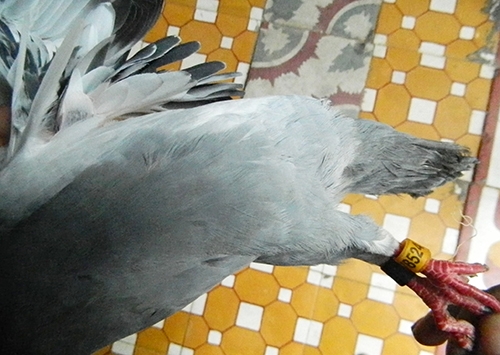 f9bb72e2f70bd286f77d.jpg