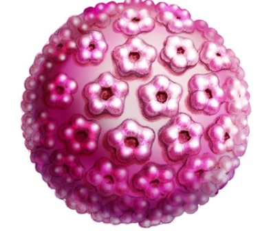 f9c1e7b5a8b13cbb932c.jpg