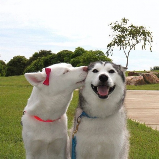 f9c6008726bd1c66f40f.jpg