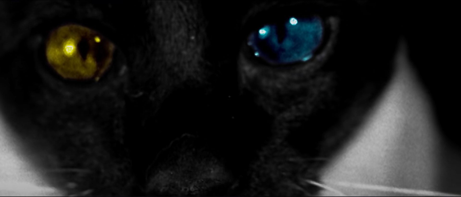 f9fb25b5e367776d1757.png