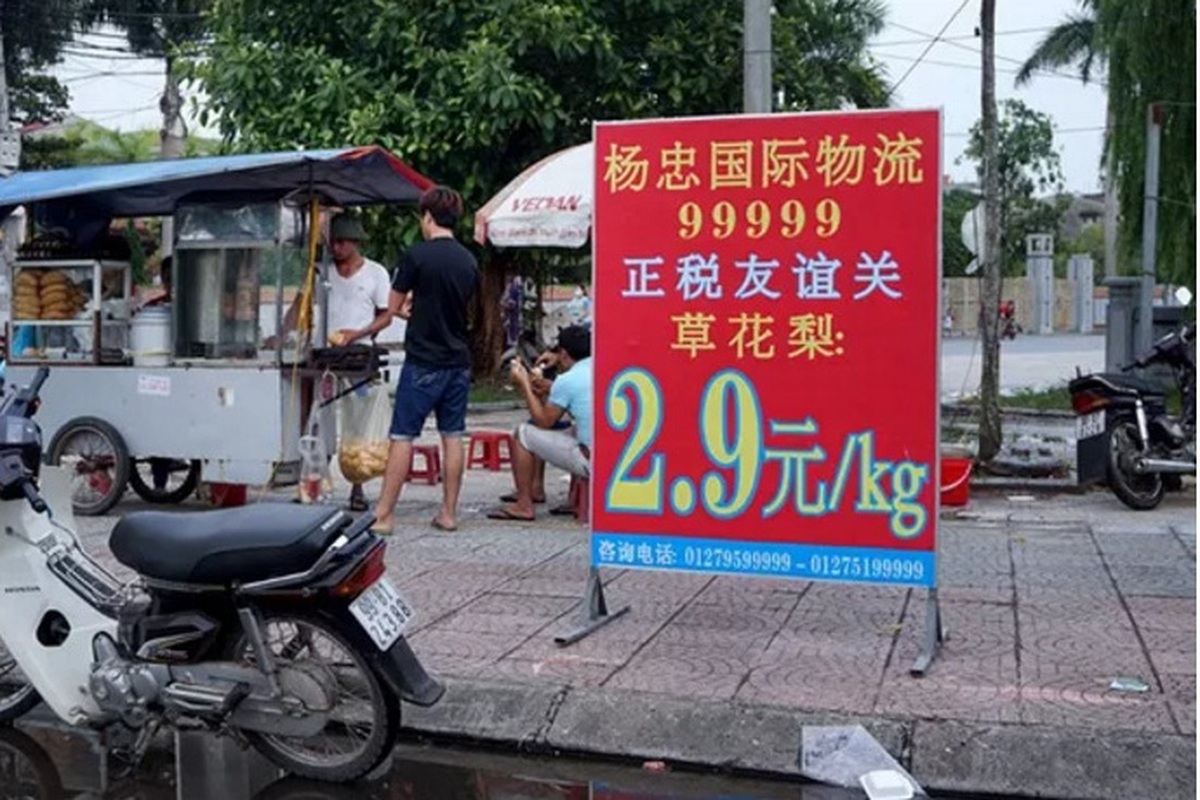f9ff953bc3205beb430f.jpg