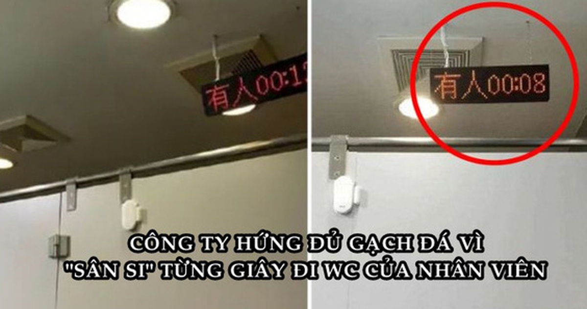 fa0b2b5aaf1b23514aa7.jpg