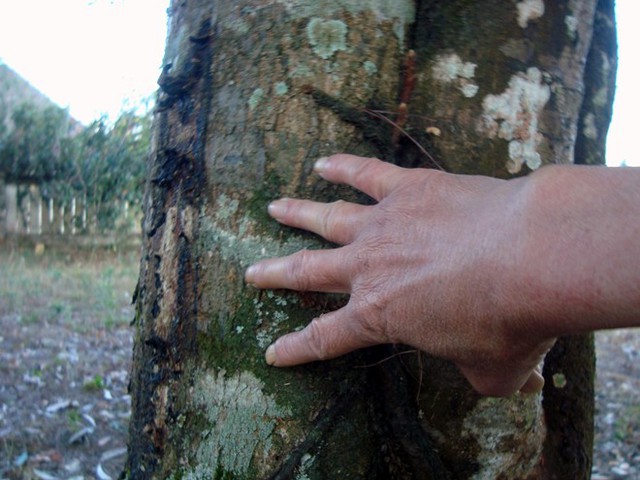 fa6b239bde4735313ebc.jpg