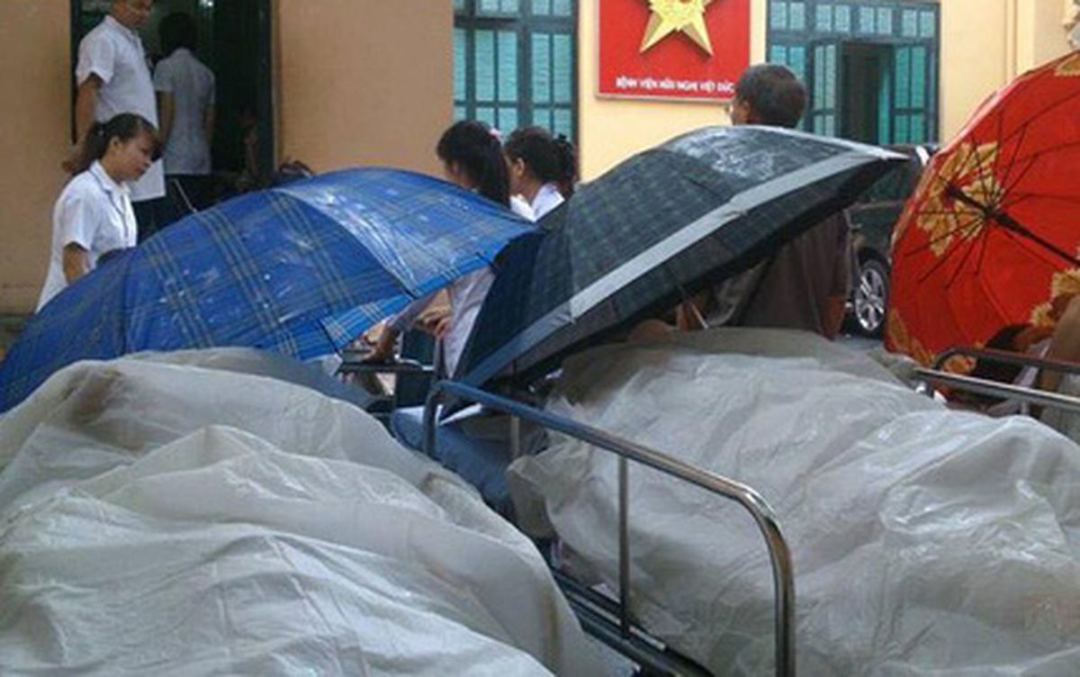 fa90a37fb8f24108c4db.jpg