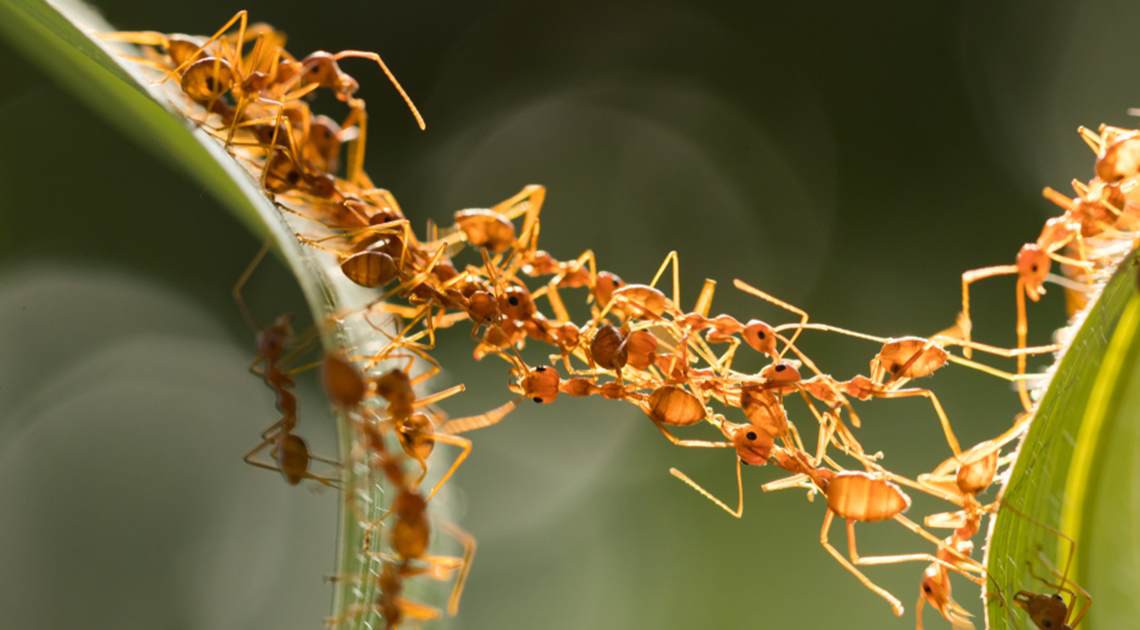 fa9b636f2ddf79acafa8.jpg
