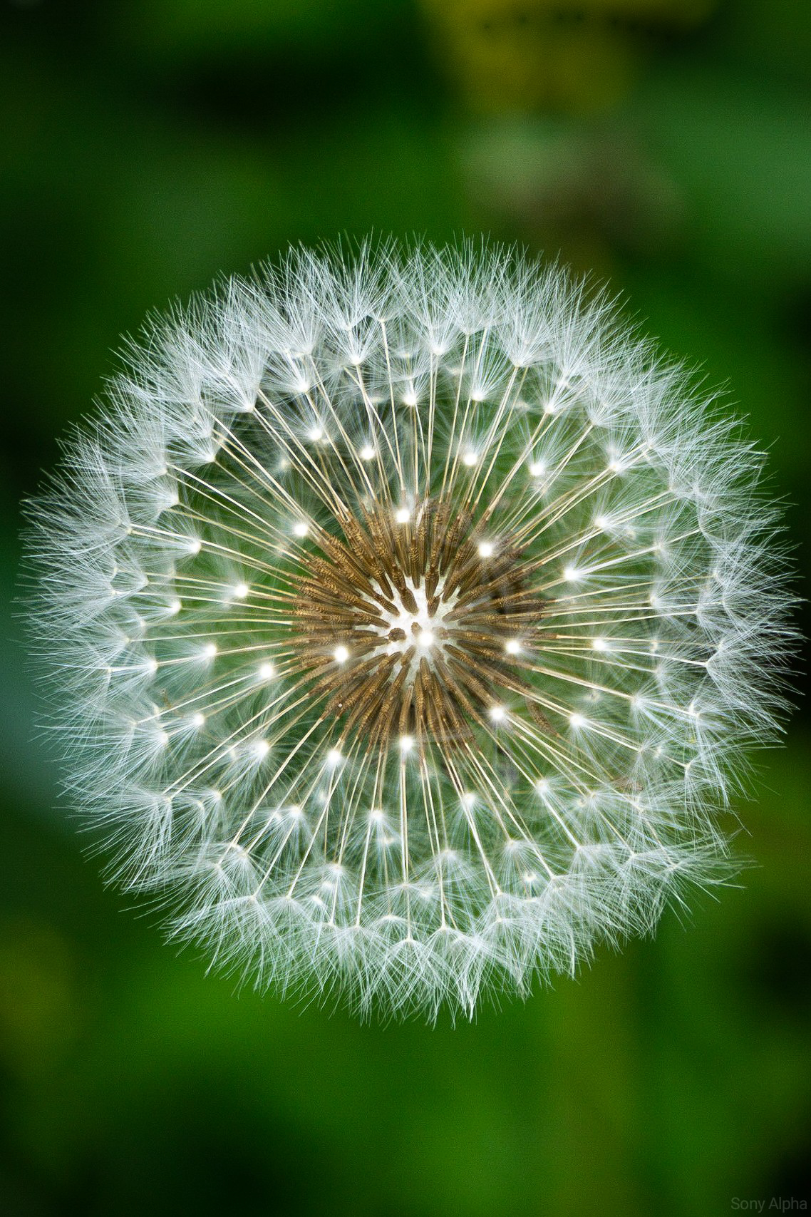 fae0302e17b758f0cb3f.jpg