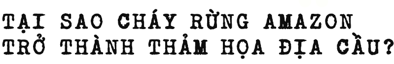 fb2736b1030d3d354a1e.png