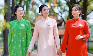 fb406cf6211cc802cba2.jpg