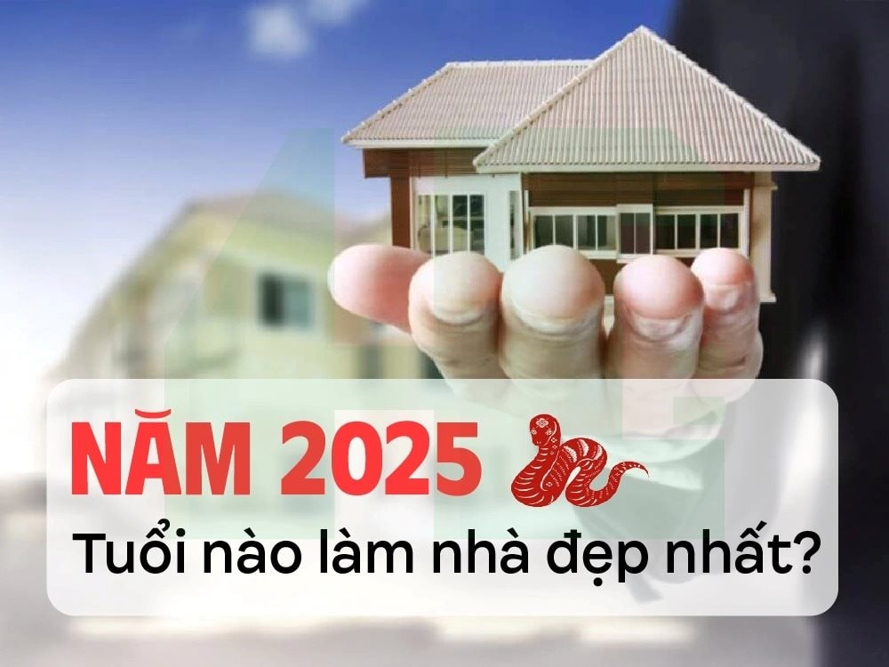 fb6eed79cd27727e618c.jpg