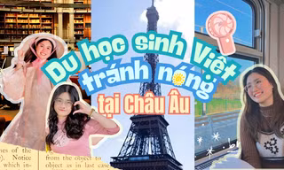 fb8b172d9cba5f285c67.jpg