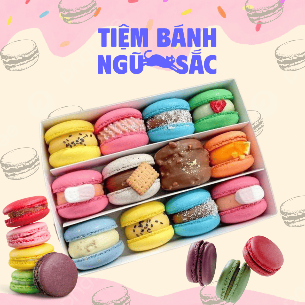 fbdb85fcfb5d79db3087.png