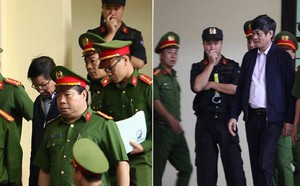 fbe9e7db27dff795ff32.jpg