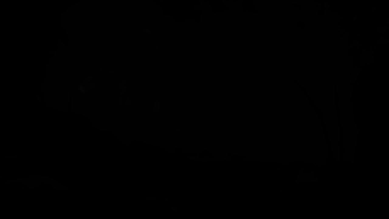 fbef9ceef85119579e7a.jpg