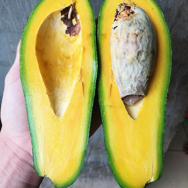 fbf08fad5e1ad2c5e276.jpg
