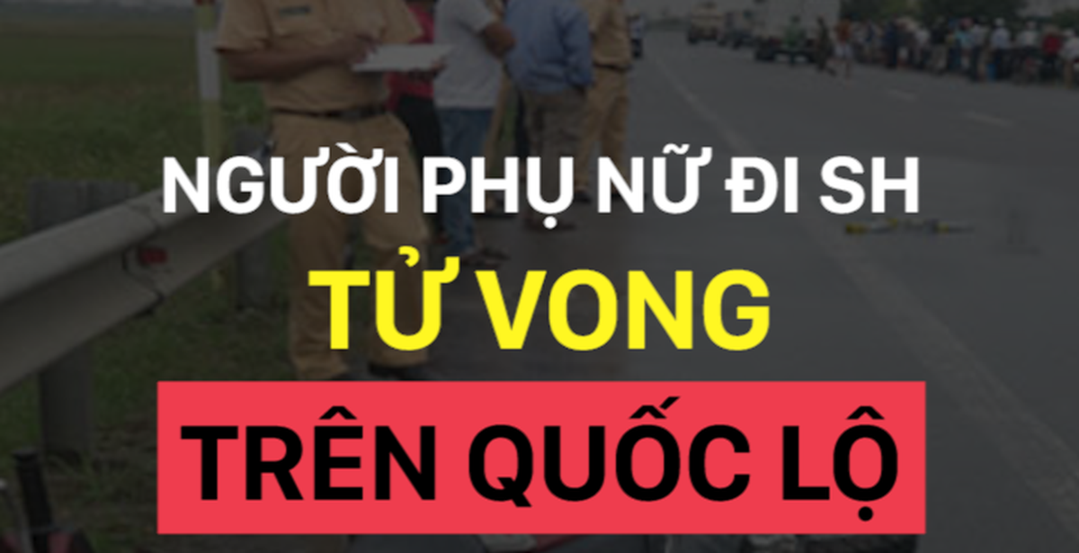 fc03235d47b1262b4a43.png