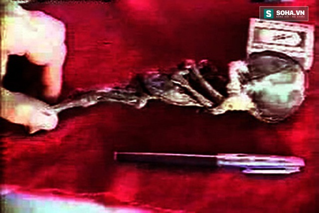 fc1ddeca09aebb85d4b3.jpg