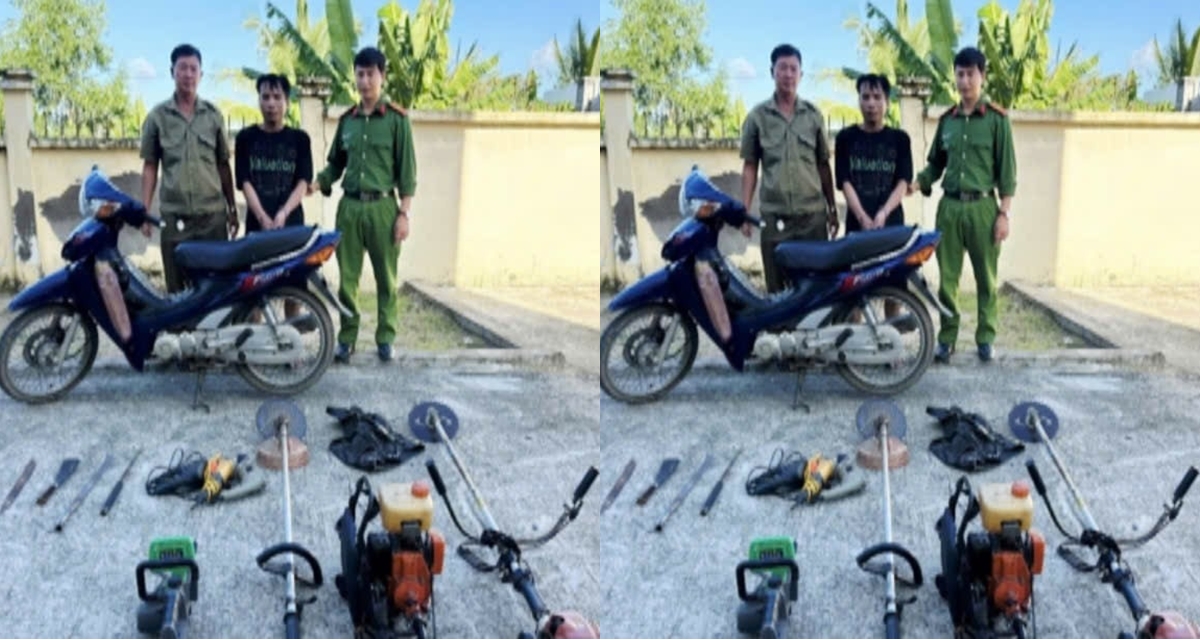 fc2687aaa57375d25bae.jpg