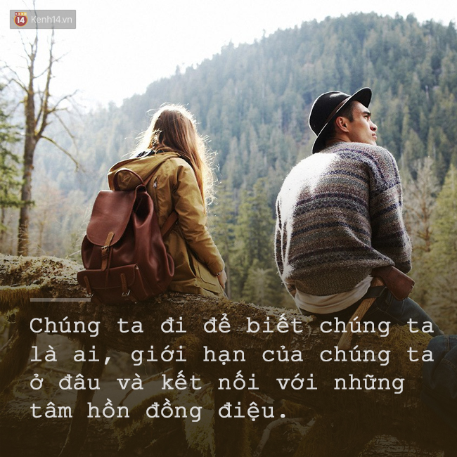 fc850ae9d500d1864a5a.jpg