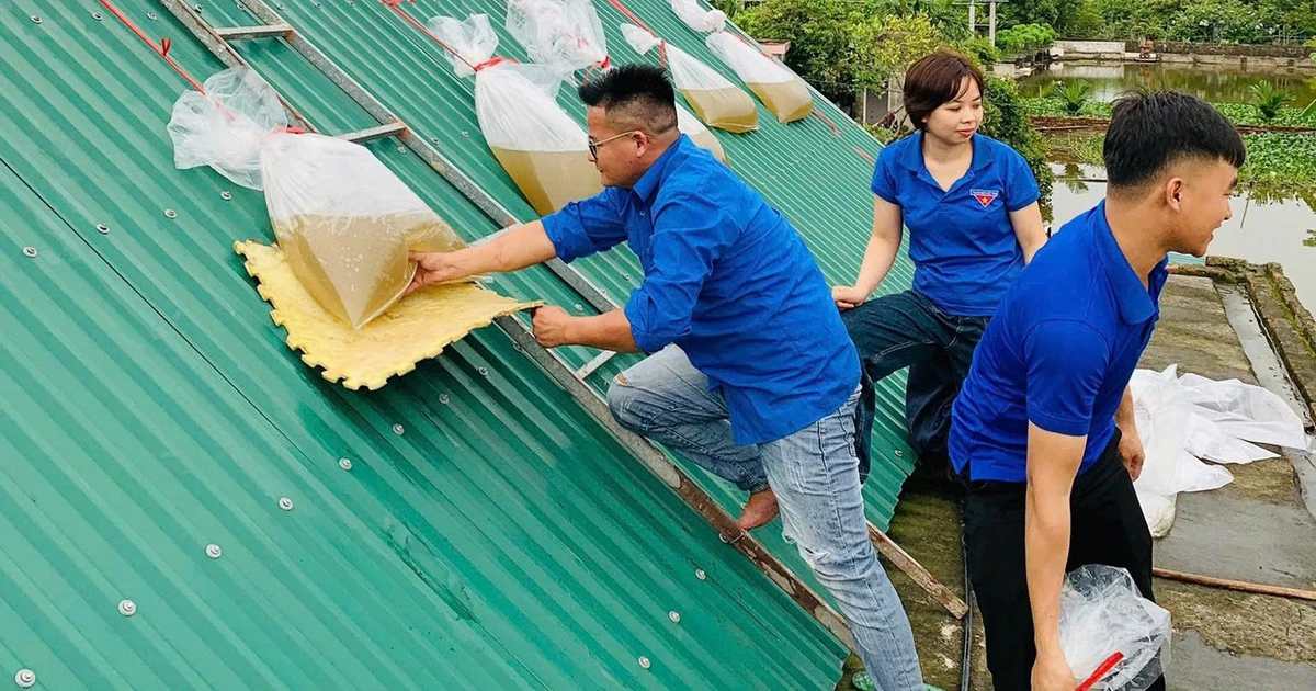 Gen Z ba tỉnh ra quân "đu đưa" với bão số 3