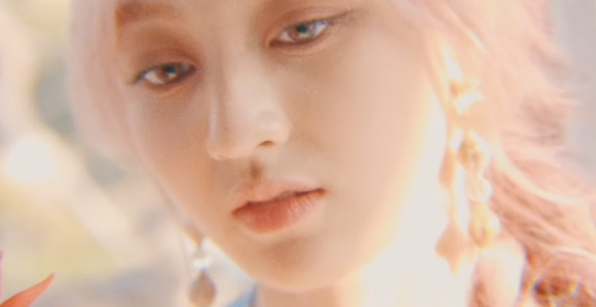 fd12900f78864541c835.png