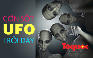 fd2ec29fd88d352aa69d.png