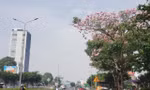 fd3ea41ef868f3f2bbb9.jpg