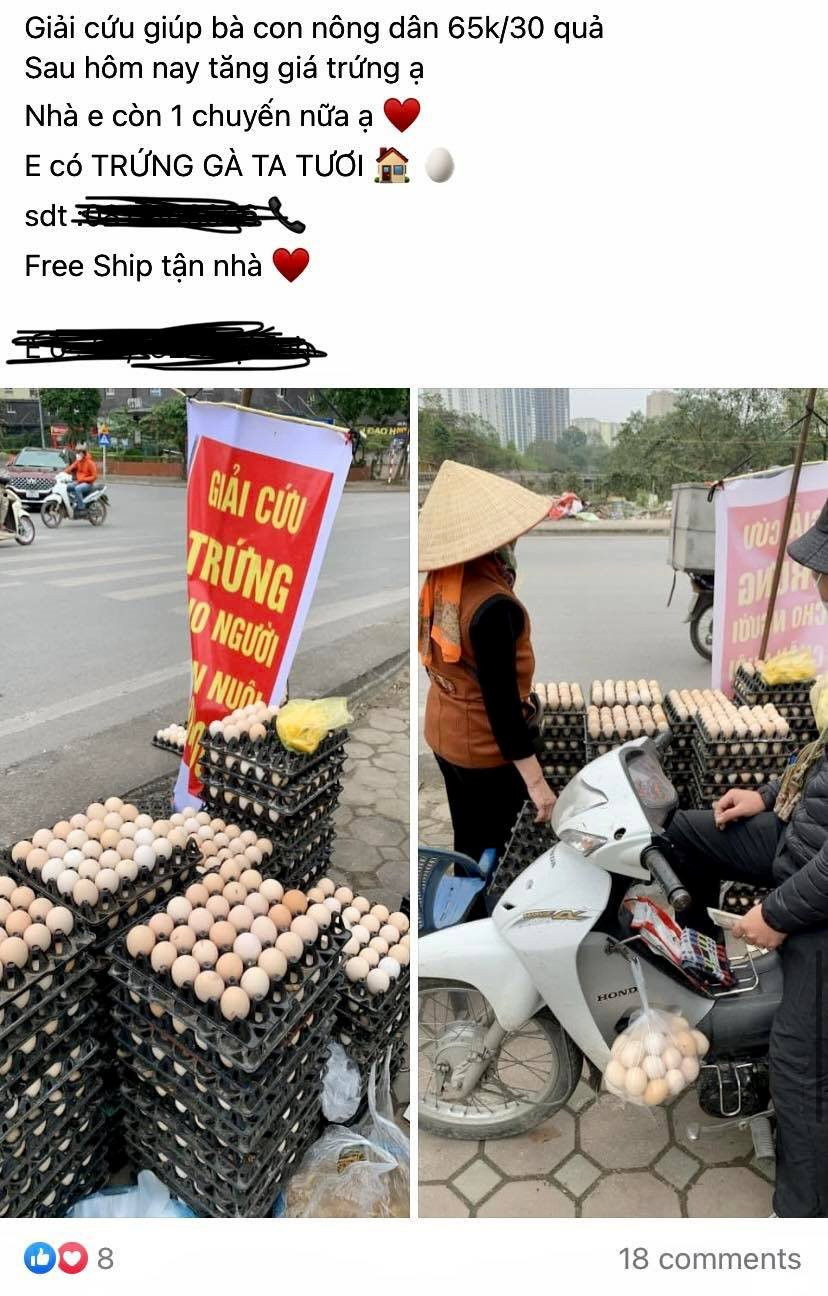 fd724a3378e5b8e61ee0.jpg