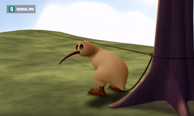 fdbd6d9ec6aaf7aa35bc.png