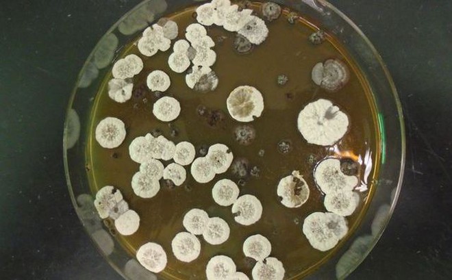 fdec037de4cf1cb23523.jpg