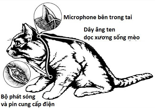 fdef1d25d4470b996b94.jpg