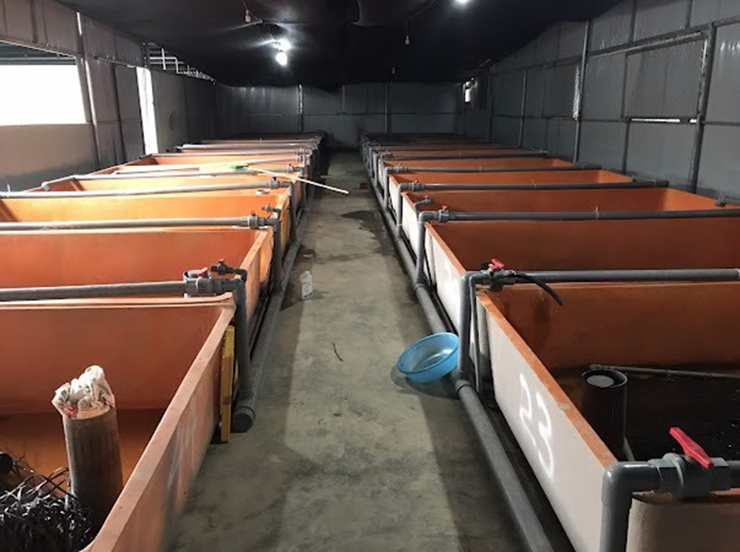 fdfc9ae038884e2d2830.png