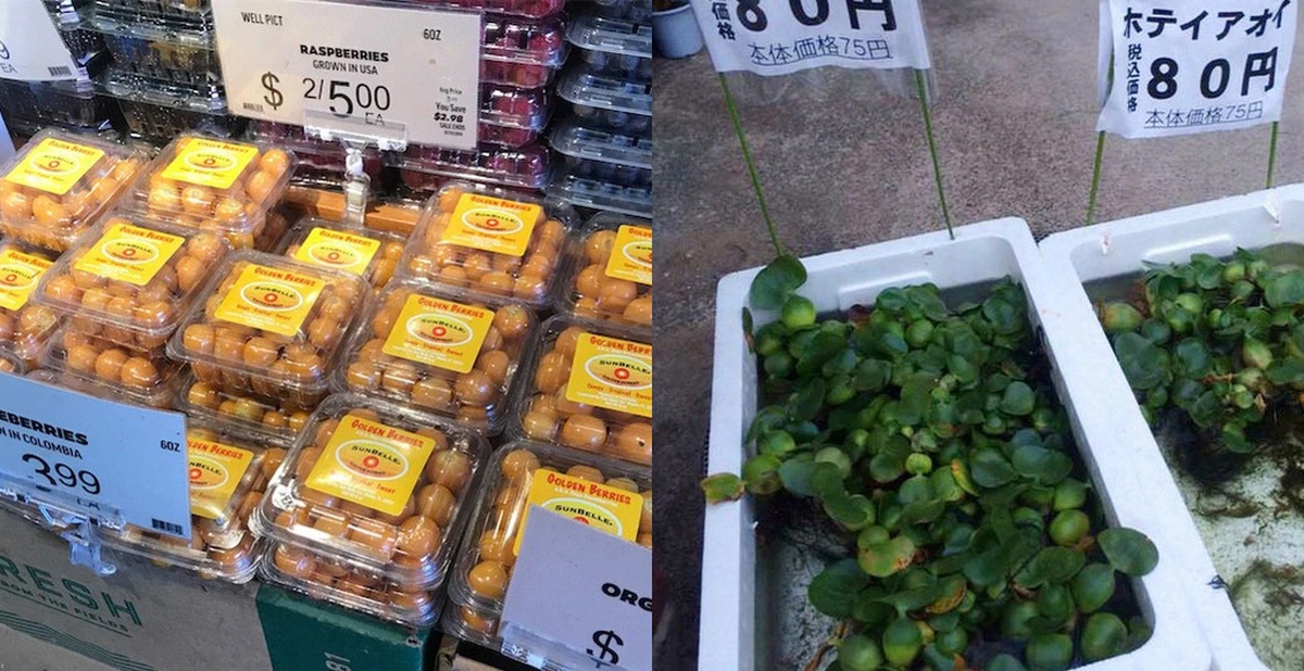 fe0bf832fa6b47fbf39e.jpg