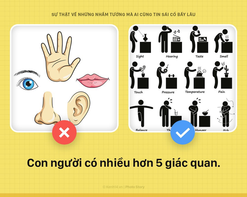 fe46e73242708fb349f7.jpg