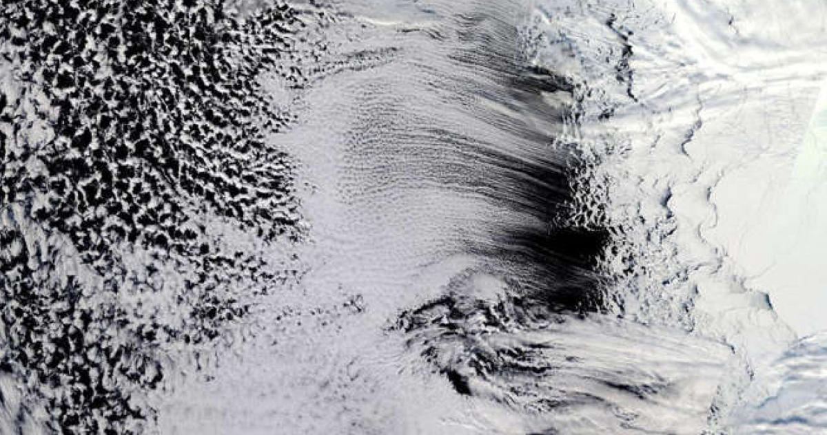 fe4bdc2754e05546d021.jpg